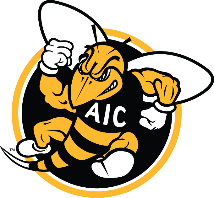 AIC Yellow Jackets 2009-Pres Alternate Logo v2 diy DTF decal sticker